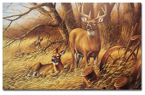 Rosemary Millette Rustic Retreat Whitetail Deer s N