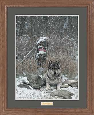 David_Wensel_Framed_print_No_Tresspassing Wolf