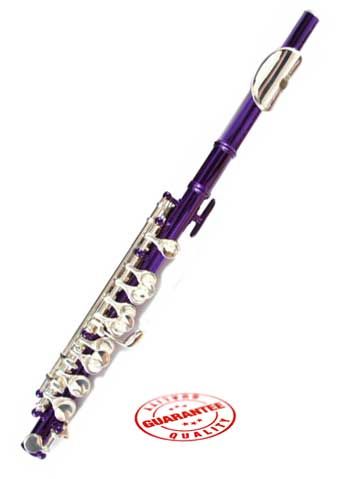 New Hawk Purple Colored Student Piccolo WD FP122 PL