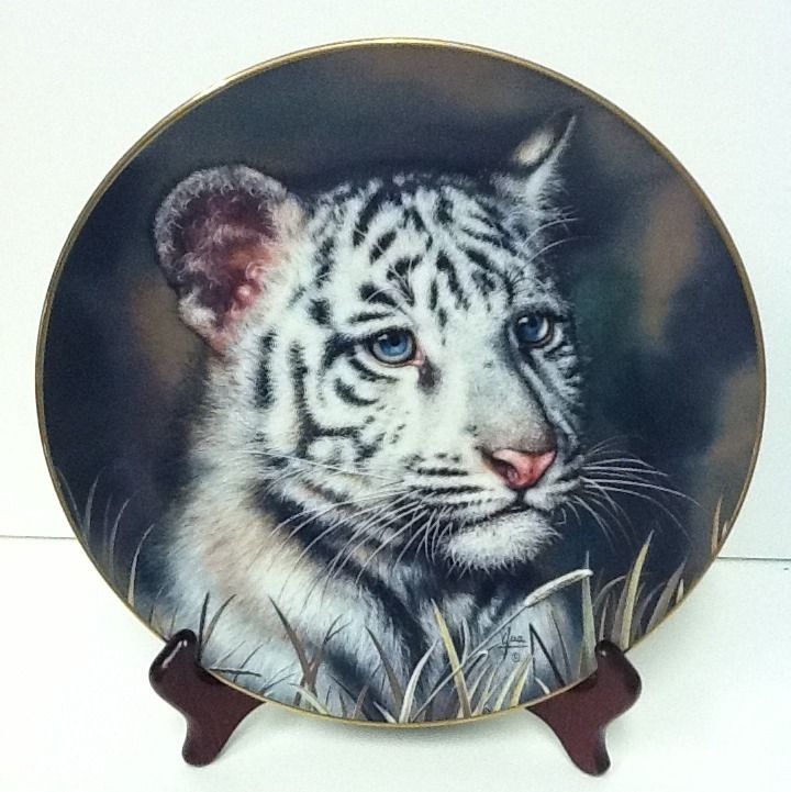 White Tiger Cub Princeton Gallery 1992 Porcelain Collector Plate