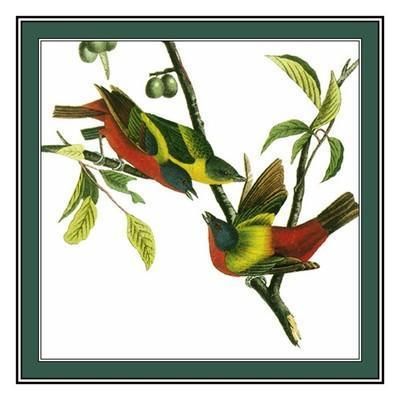  James Audubon Bird Painted Bunting Counted Cross Stitch Chart