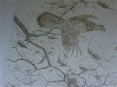 David Hagerbaumer Original Signed Etching Ruff Grouse