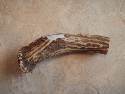 Deer Antler Knife Handle Scrimshaw Circle Life Feather