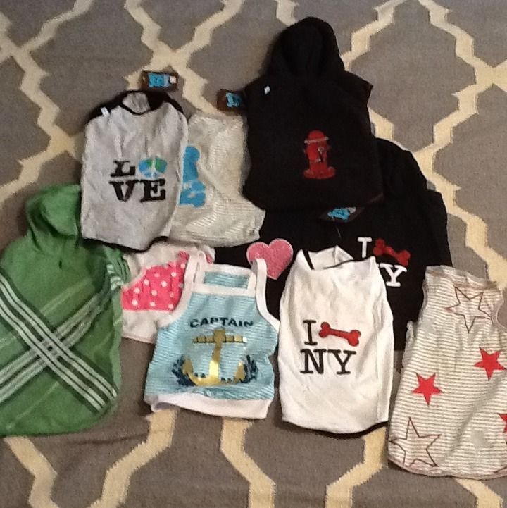 Size L Designer Dog Clothing Lot Over $200 Value