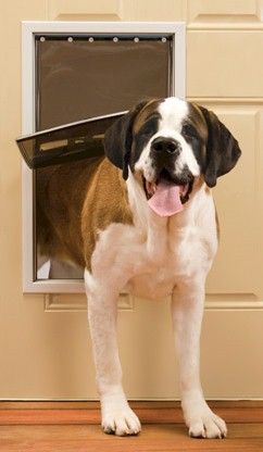 Pet Dog Door Panel Extra Large Breed Patio Doggie Flap for Up to 200lb