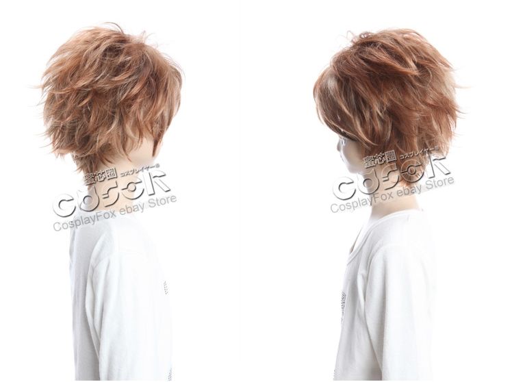 Dynasty Warriors 7 Zhong Hui Cosplay Wig Costume