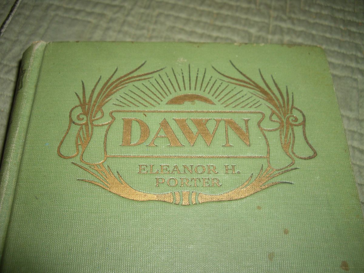 DAWN Book by Eleanor H Porter Beautiful Illustrated First Edition Copy