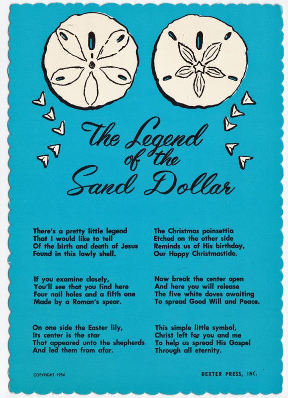 Chrome Postcard Legend of The Sand Dollar Poem Keyhole Urchin 1973