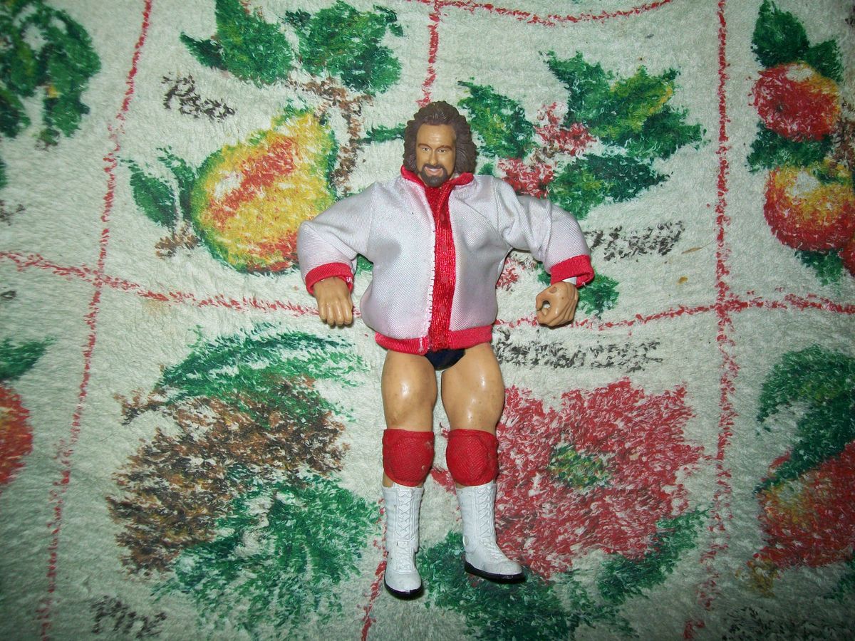 WWE Eugene Action Figure