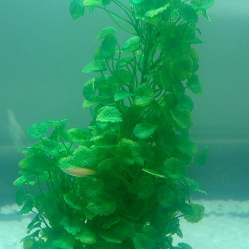  Shape Plastic Plants Décorations Ornaments Aquarium Fish Tank