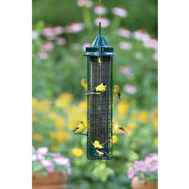 brome squirrel buster finch wild bird feeder feed thistle to your