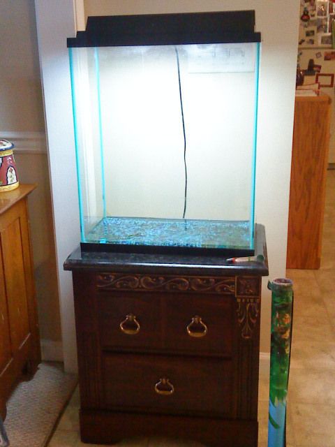 20 Gallon Extra High Fish Tank w UV Hood