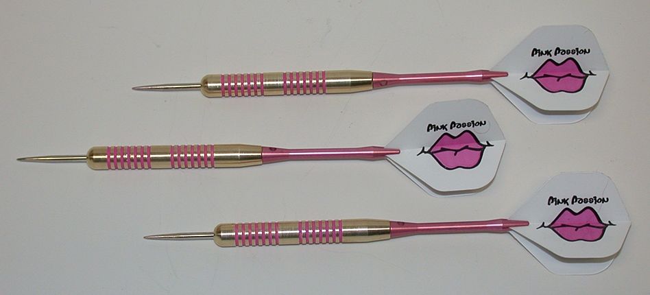  22 Gram Steel Tip Darts for The Ladies EX Flights Shafts 4BIN