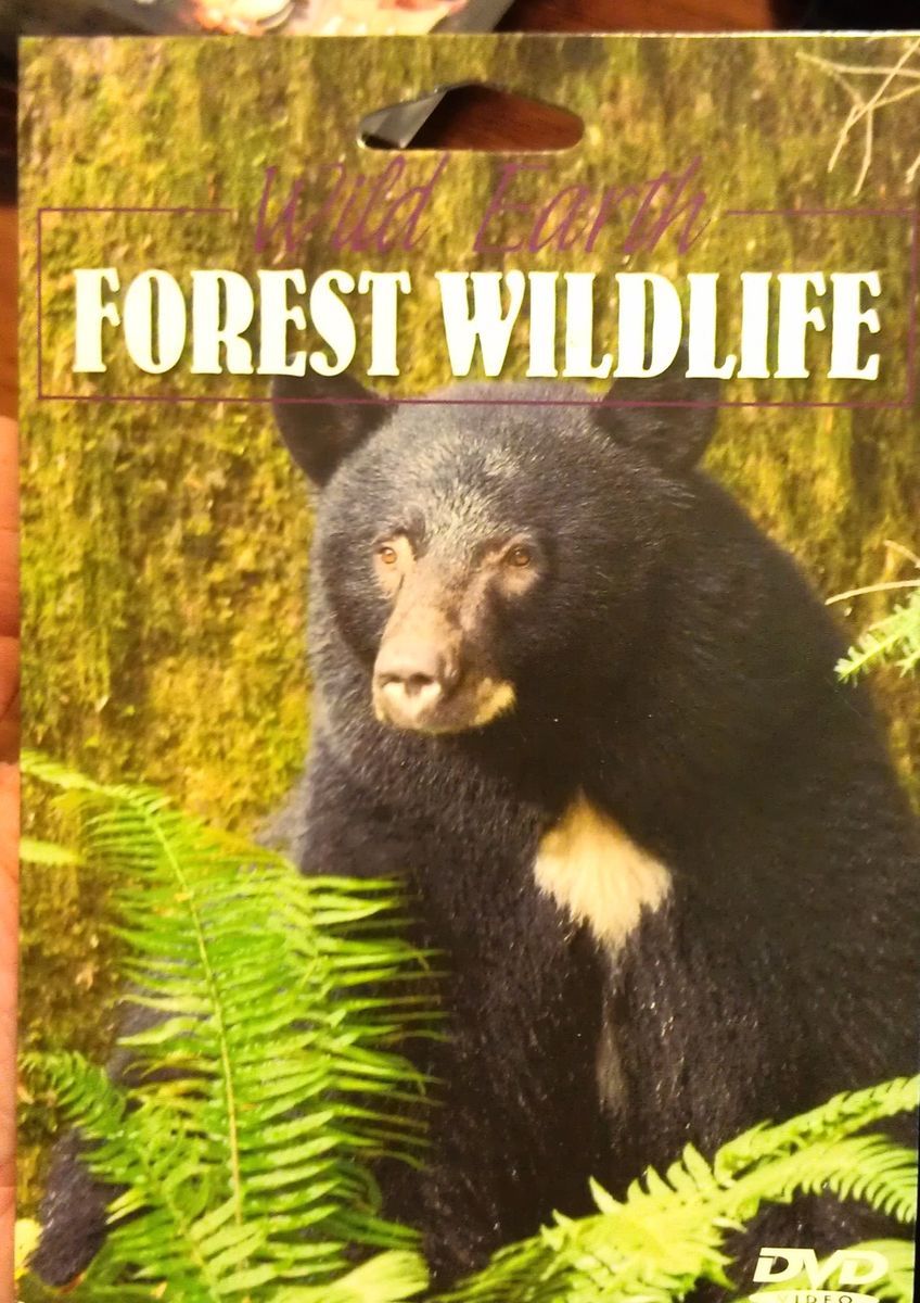 Wild Earth Forest Wildlife Nature Bear Wolf Otter Animals Kids DVD