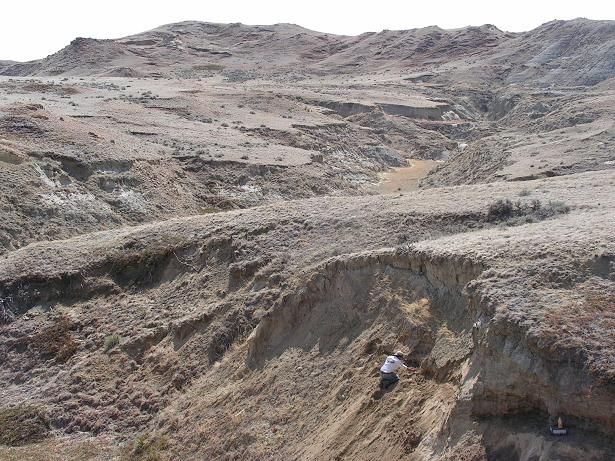 fossil prepared by 549 highway 117 fort peck montana 59223