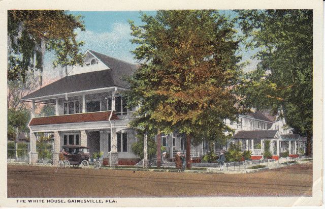 Gainesville Florida Hotel Building Scene Postcard Flt