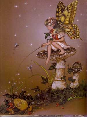 Fairy Book Invitation to Fairyland Jean Ron Henry New