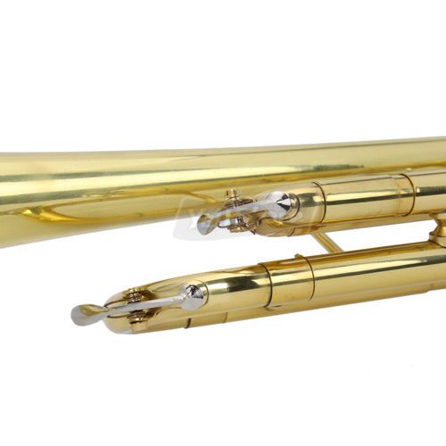 Brand New BB Trumpet Gold with Mouthpiece Case