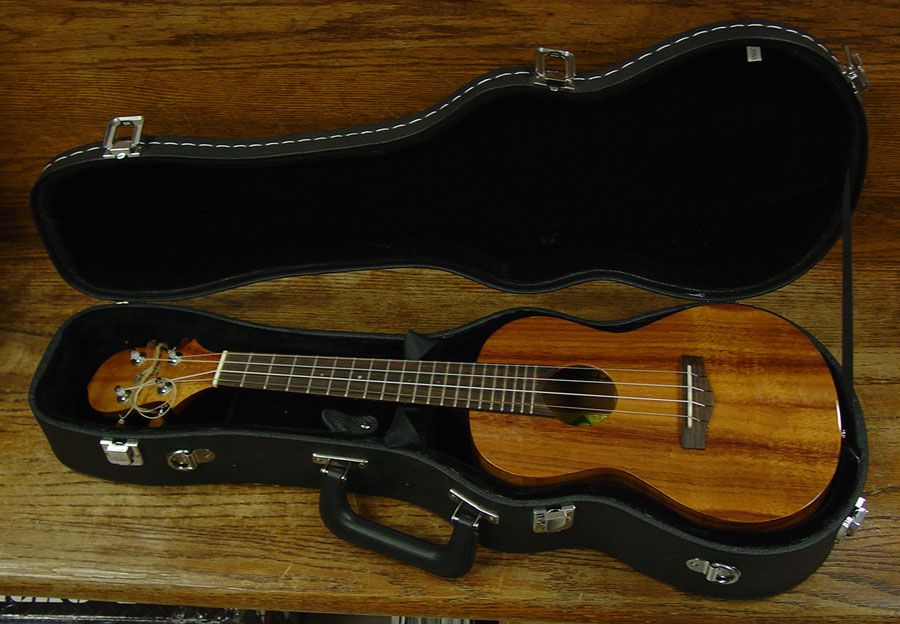 am authorized dealer for Gibson Fender Musicman Gretsch Guild plus