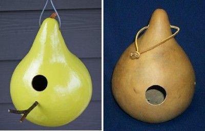 Gourd Birdhouse Seeds F 343