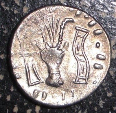 Ancient Greek Himyarite Confederacy 100 BC AR Denarius Emperor Bull