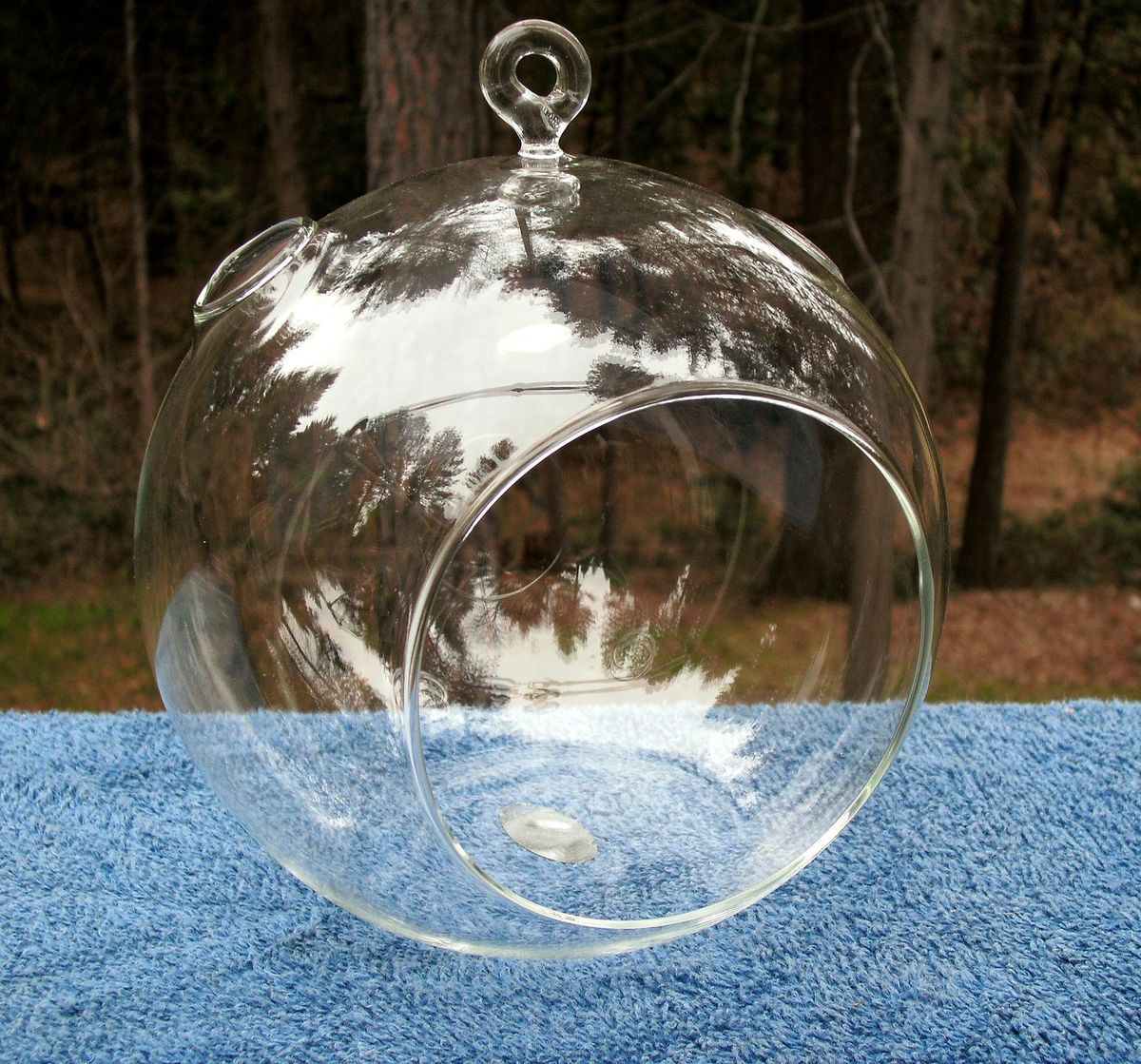 Terrarium Bio Bubble ORB Large Without Tillandsia Air Plants