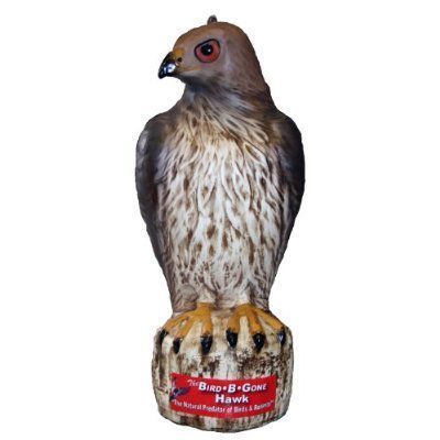 Bird B Gone Hawk Decoy New Repellents Control Pest Garden Lawn Patio