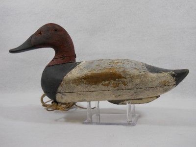 Upper Chesapeake Bay MD Havre de Grace Canvasback Drake Duck Decoy Jim