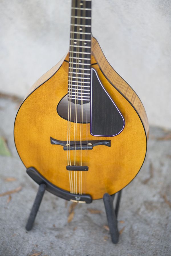 Beautiful Weber Yellowstone HT Mandola Mandolin with Many Upgrades