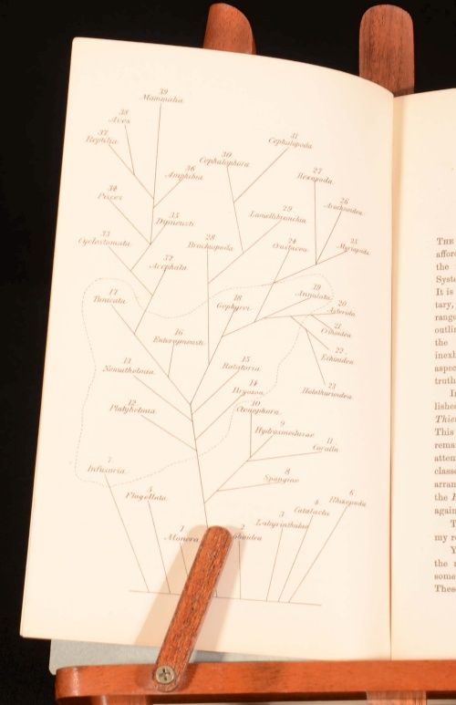  of ANIMAL LIFE and VEGETABLE LIFE Henry HIGGINS Microscopical Society