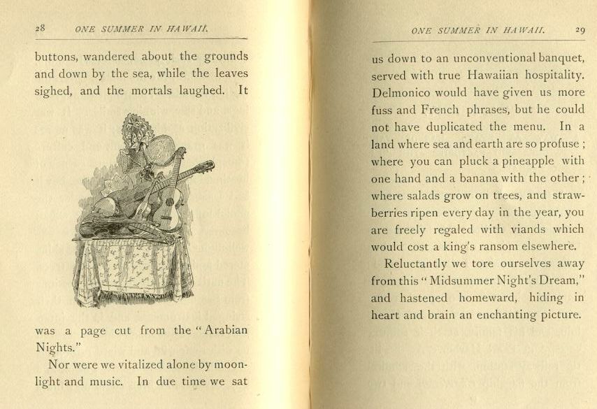 RARE Book One Summer in Hawaii Helen Mather 1881 Early Tour