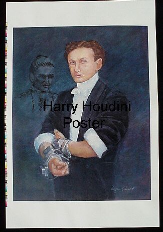 Houdini and Beyond Poster