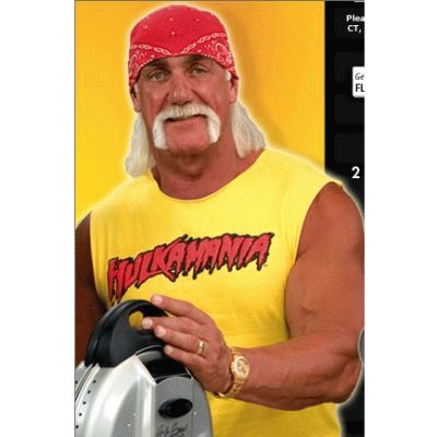 Hulkamania Hulk Hogan T Shirt WWF WWE Wrestling New