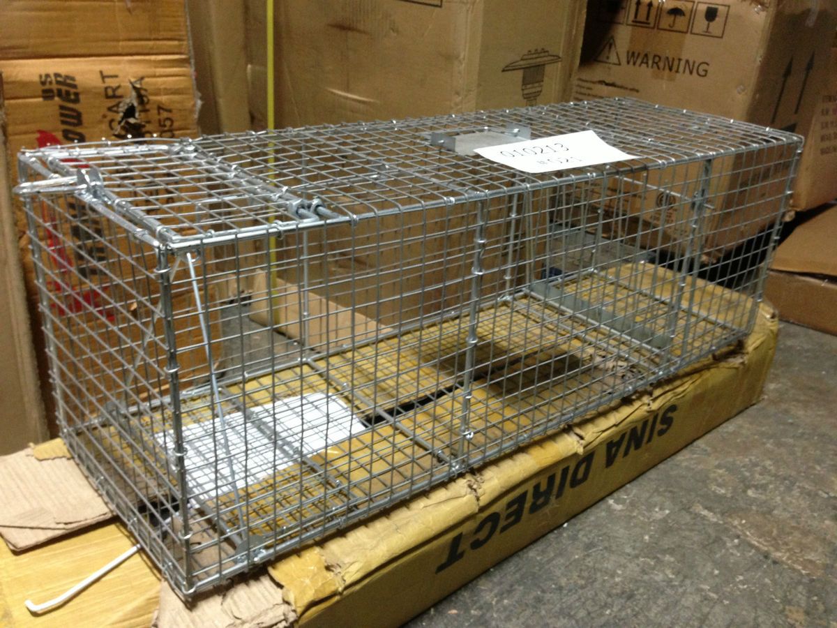   Animal Trap Skunk Racoon Cat 36 x12 x12 Cage trap Rabbit Pet Humane