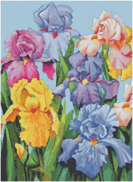 Colorful Iris Counted Cross Stitch Pattern