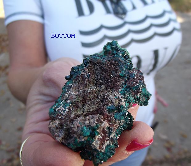  Conichalcite from Tsumeb Mine Namibia EX Immelman Collection