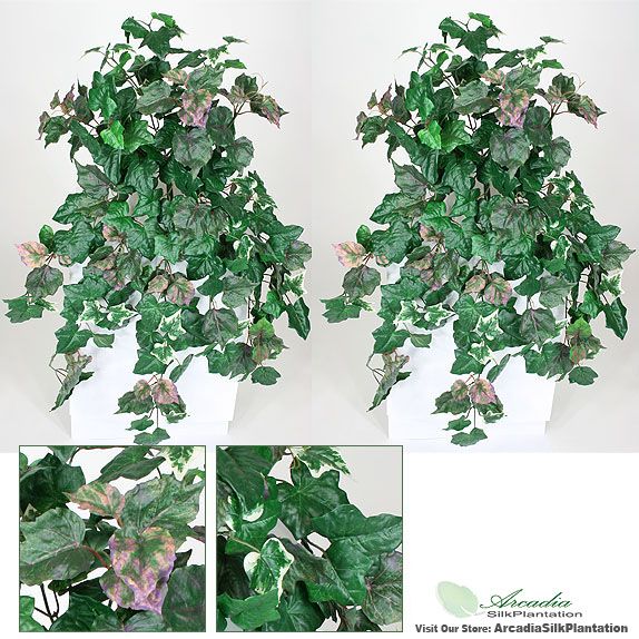 Two 36 Ivy Grape Ivy Hanging Bush x13 Silk Plants PU