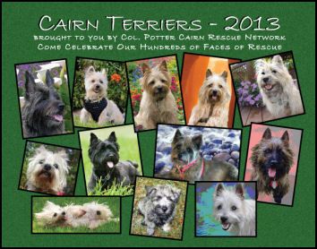 2013 Cairn Rescue Calendar Col Potter Cairn Rescue