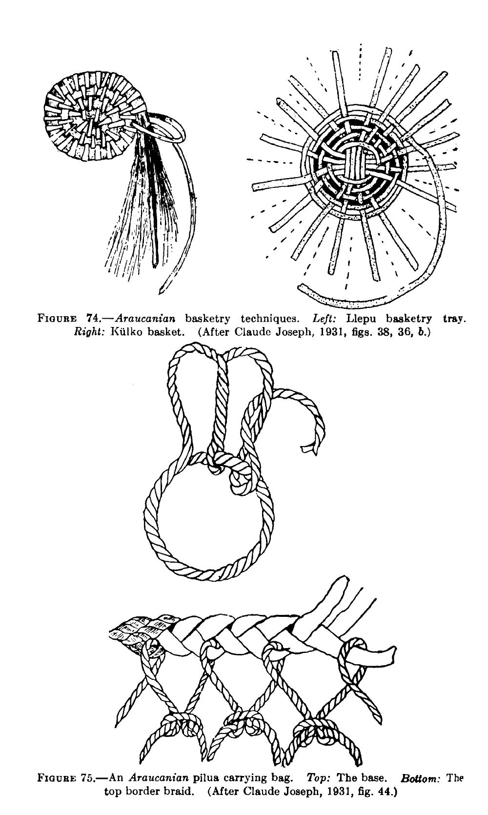 The Patagonian and Pampean Hunters, by John M. Cooper. pages 127 168