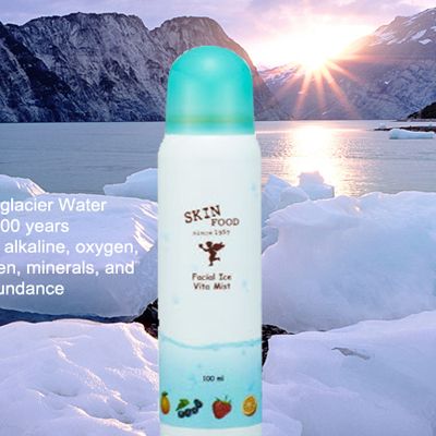 Skin Food Facial Ice Vita Mist 2012 Summer Cool Item Alaska Glacier