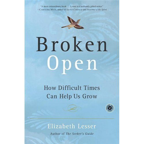 New Broken Open Lesser Elizabeth 9780375759918 0375759913