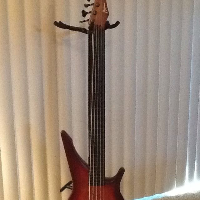 Manne Acoustibass Fretless 5 String