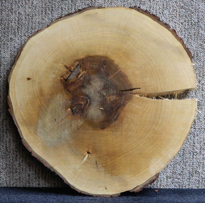 Round Maple Unique Rustic Tree Wood Slice Log Lumber Slab 6461