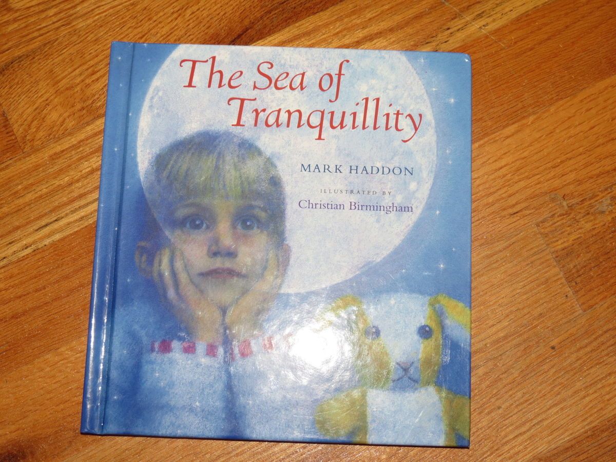 The Sea of Tranquillity by Mark Haddon HC