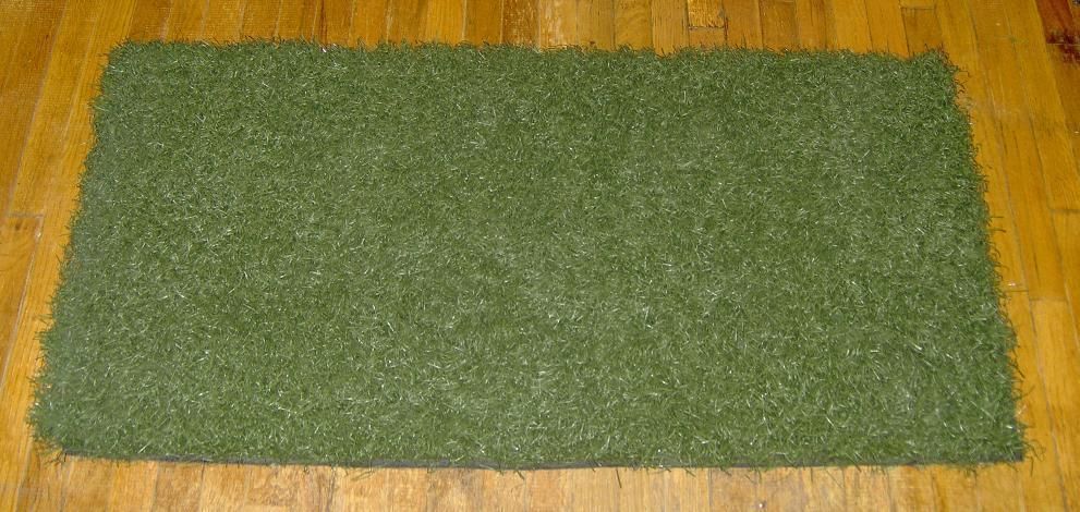 Game Used New York Giants Green Playing Field Turf Meadowlands Stadium