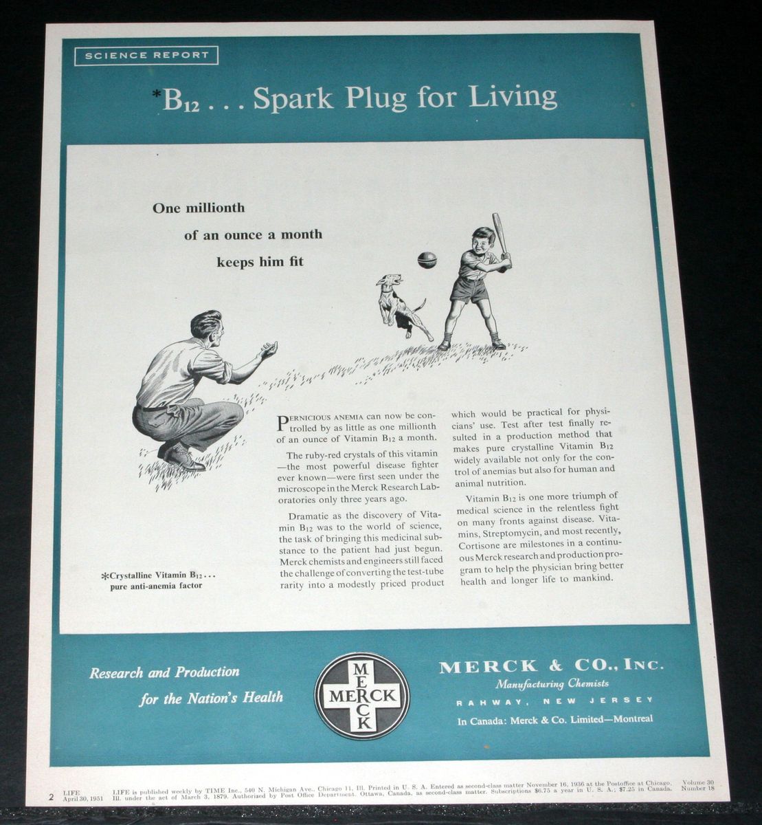 1951 Old Magazine Print Ad Merck Research Labs B12 Spark Plug for
