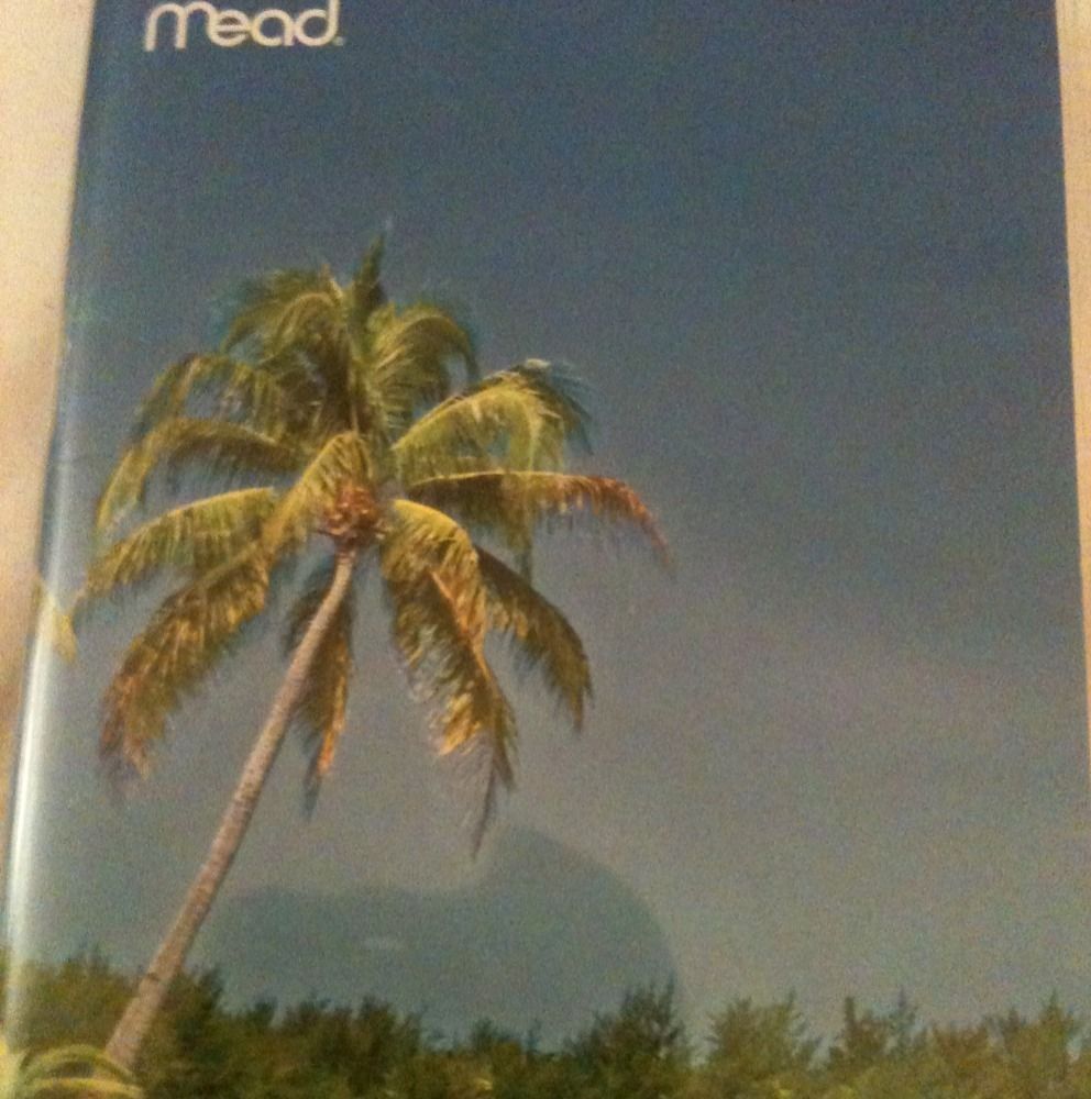 Mead Pocket Diary Planner Daily Deserted Beach 2 Years Back to School