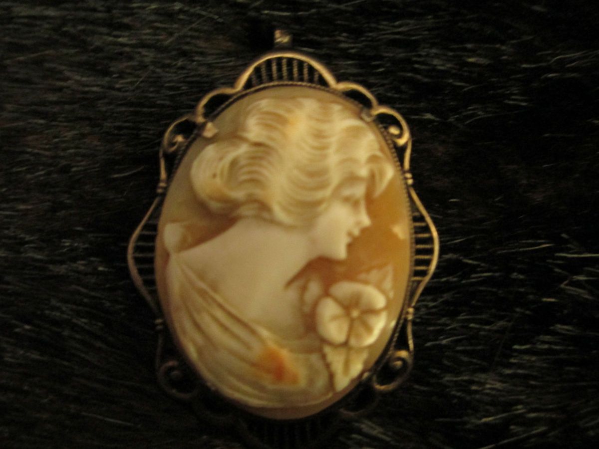 BEAUTIFUL VINTAGE ESTATE SALE CAMEO PENDANT NECKLACE FRAMED IN