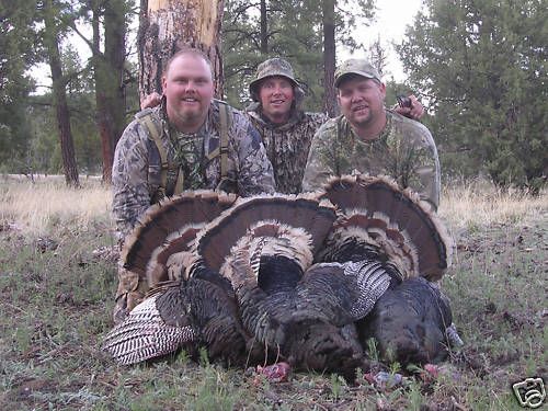 Merriam Turkey Hunt