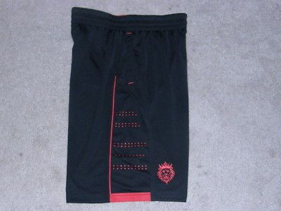 Lebron James Nike basketball shorts